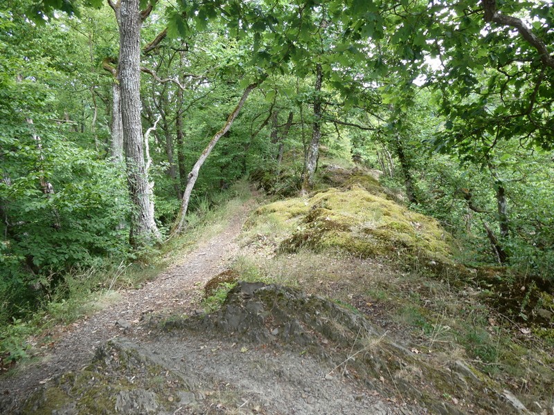 Bild (pics/68/)